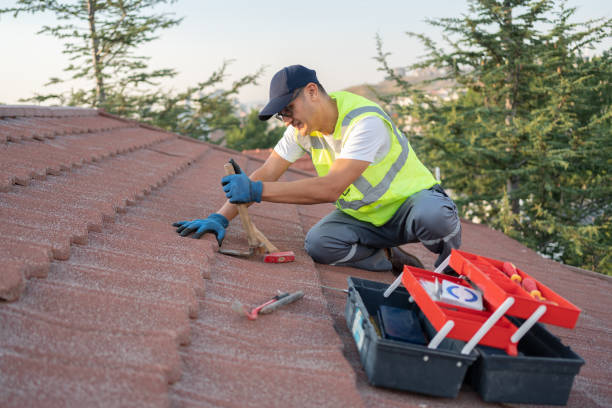 Best Roof Gutter Cleaning  in Mackinac Island, MI